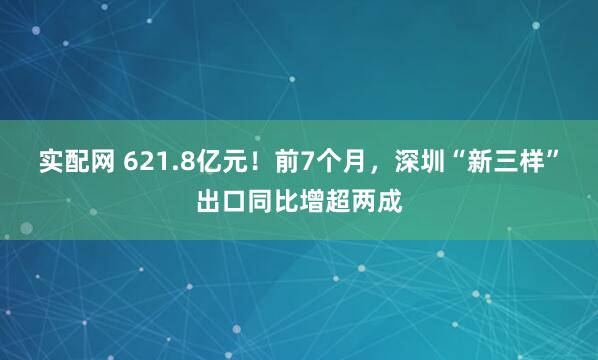 实配网 621.8亿元！前7个月，深圳“新三样”出口同比增超两成
