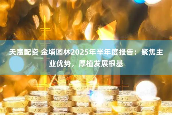 天宸配资 金埔园林2025年半年度报告：聚焦主业优势，厚植发展根基