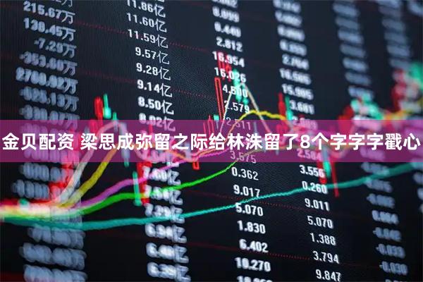 金贝配资 梁思成弥留之际给林洙留了8个字字字戳心