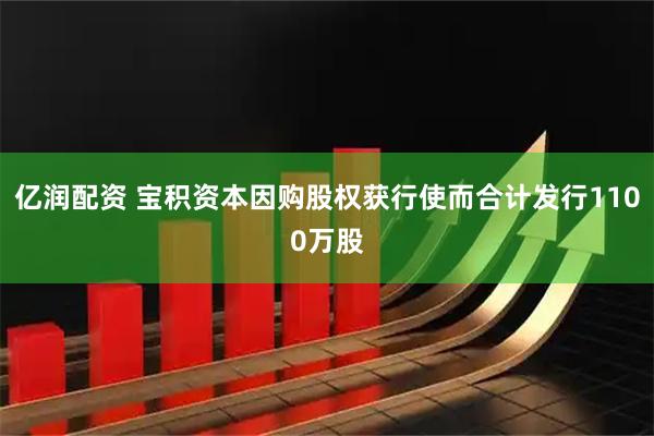 亿润配资 宝积资本因购股权获行使而合计发行1100万股