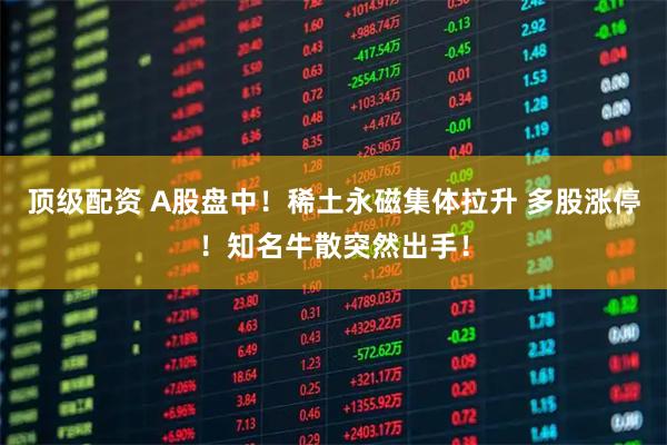 顶级配资 A股盘中！稀土永磁集体拉升 多股涨停！知名牛散突然出手！